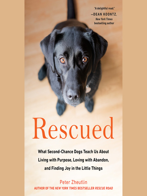 Cover image for Rescued